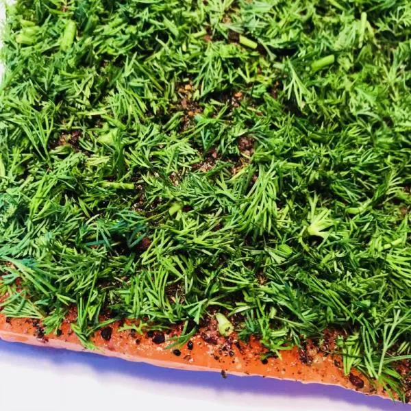 Graved-salmon--pickled-salmon--Nordic-Arctic-with-aquavit--nordic-spices-and-fresh-dill